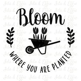 Bloom Where You Are Planted Dish Cloth